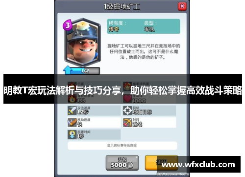 明教T宏玩法解析与技巧分享，助你轻松掌握高效战斗策略